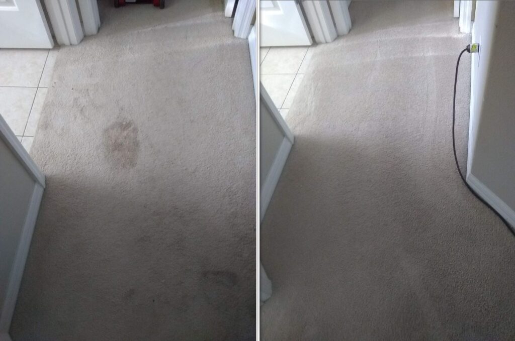 Move In/Out Cleaning in Volusia County, Cleaning Services in Ponce Inlet, Deep Cleaning Services in South Daytona, House Cleaning Services in Ormond Beach, Deep Cleaning Services in Ormond Beach, Move Out Cleaning Services in Ponce Inlet